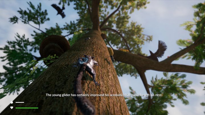 远离：生存系列