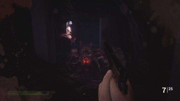 恐惧症：圣汀菲娜酒店